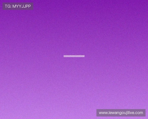 法国世界杯：历史回顾与荣耀时刻解析